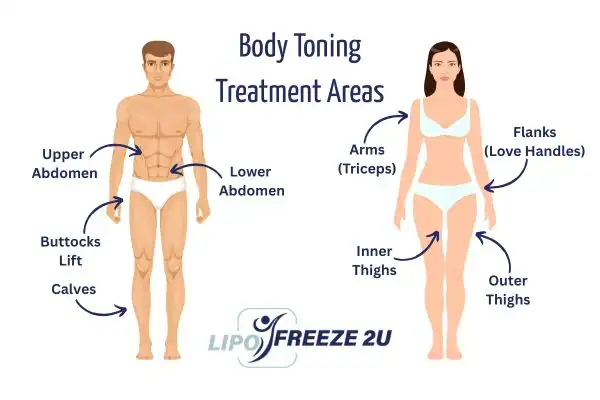Graphic showing where you can have Body toning Treatment Coombe Bissett on your body